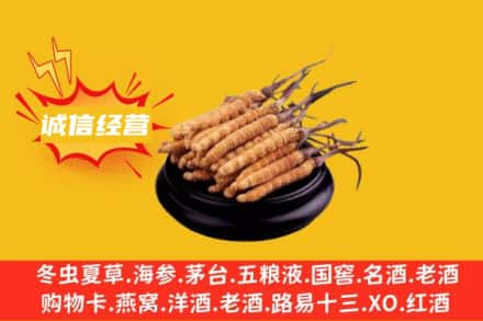 墨脱县回收冬虫夏草